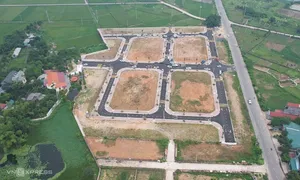 Giá trúng đấu giá đất huyện ven Hà Nội giảm mạnh Giá trúng đấu giá đất huyện ven Hà Nội giảm mạnh