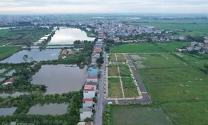Đất đấu giá huyện Thanh Oai trúng cao nhất hơn 90 triệu đồng một m2 Đất đấu giá huyện Thanh Oai trúng cao nhất hơn 90 triệu đồng một m2