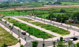 Đất đấu giá huyện Quốc Oai cao nhất gần 95 triệu đồng một m2 Đất đấu giá huyện Quốc Oai cao nhất gần 95 triệu đồng một m2