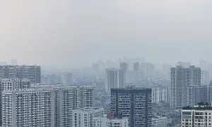 Bụi mịn - 'sát thủ' tấn công đa cơ quan Bụi mịn - 'sát thủ' tấn công đa cơ quan
