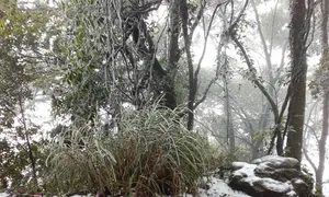 Nơi nào ở Hà Nội từng có tuyết? Nơi nào ở Hà Nội từng có tuyết?