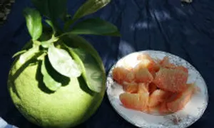 Lợi ích khi ăn quả bưởi thường xuyên Lợi ích khi ăn quả bưởi thường xuyên